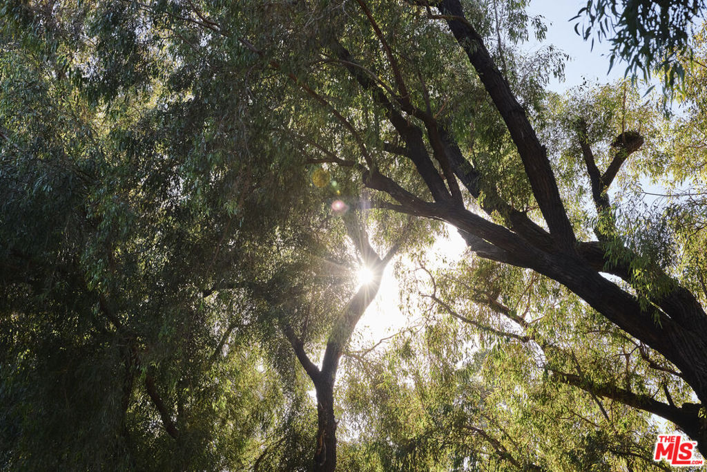 MLS #26665167 image #32