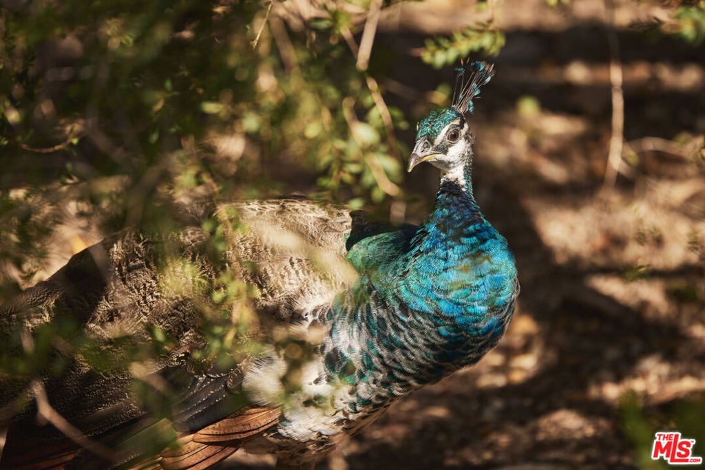 MLS #26665167 image #33