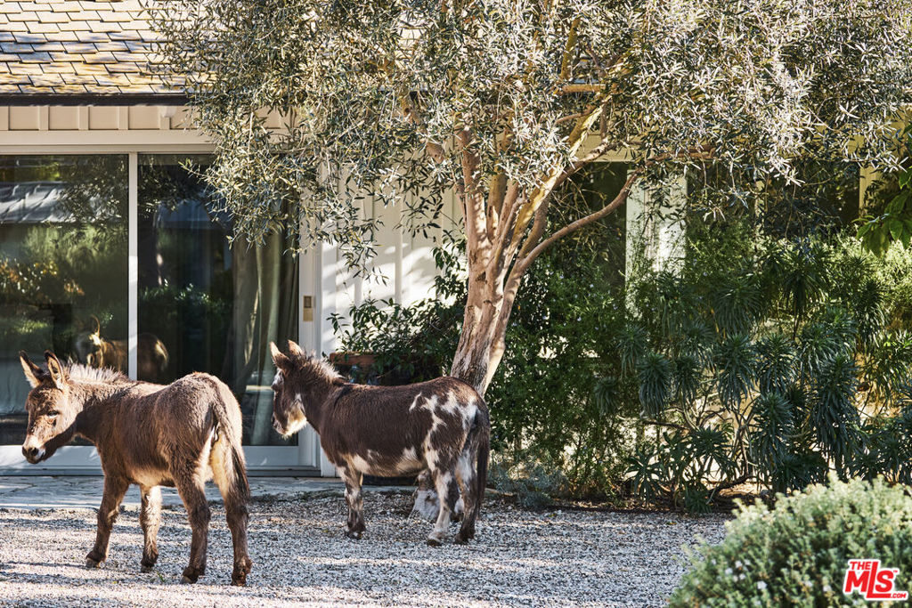 MLS #26665167 image #5