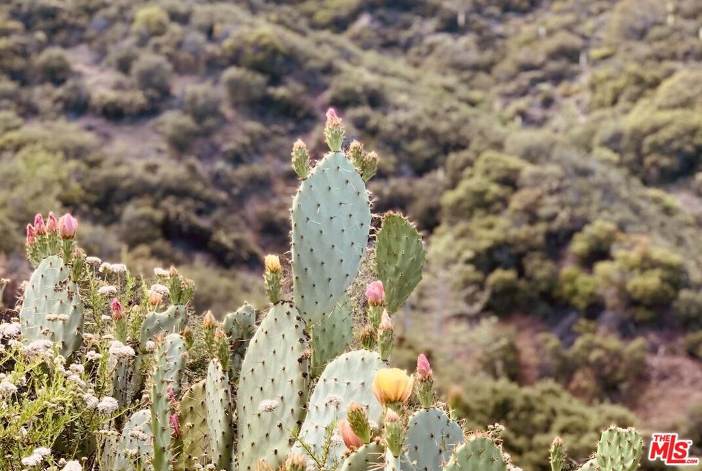 MLS #26666801 image #15