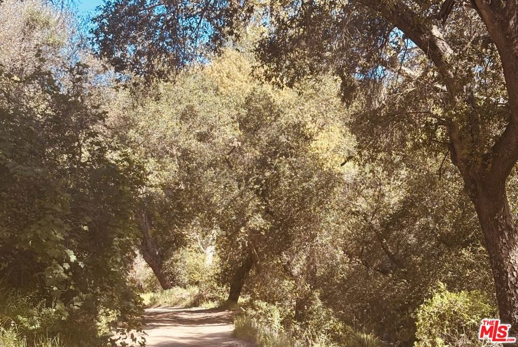 MLS #26666801 image #32