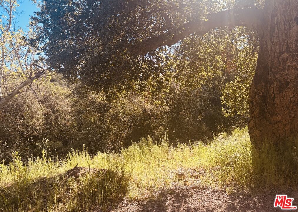 MLS #26666801 image #33