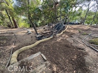 MLS #AR25152811 image #4