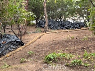 MLS #AR25152811 image #5