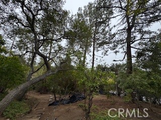 MLS #AR25152811 image #6