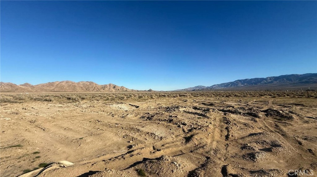 MLS #AR25280294 image #8