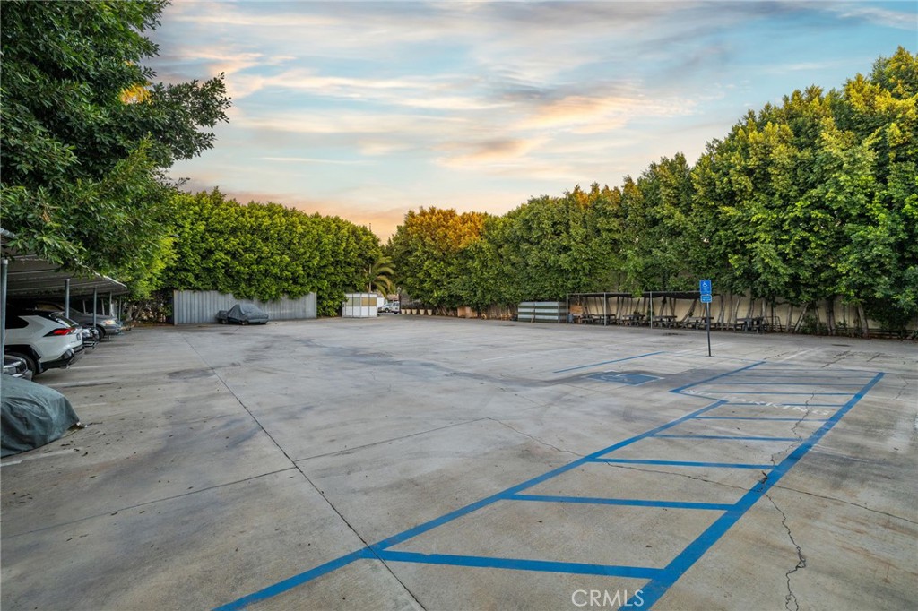 MLS #CV25100696 image #8