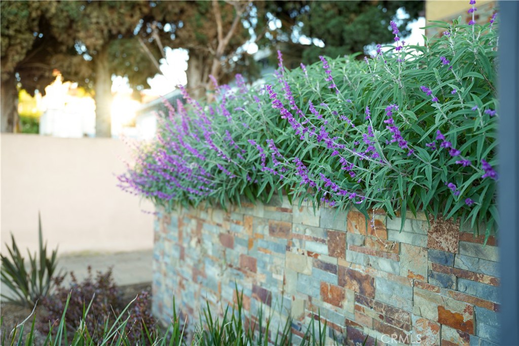 MLS #CV26046190 image #5