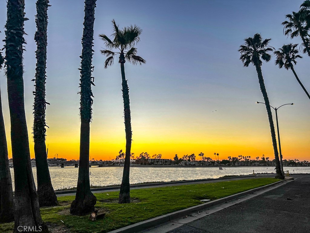 MLS #CV26055718 image #49