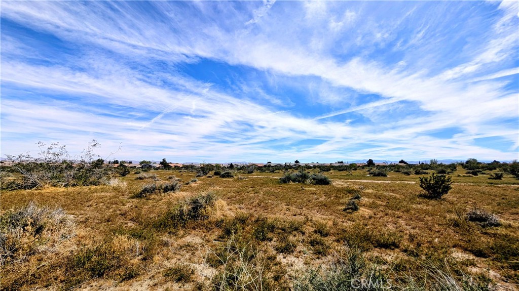 MLS #CV26061641 image #6