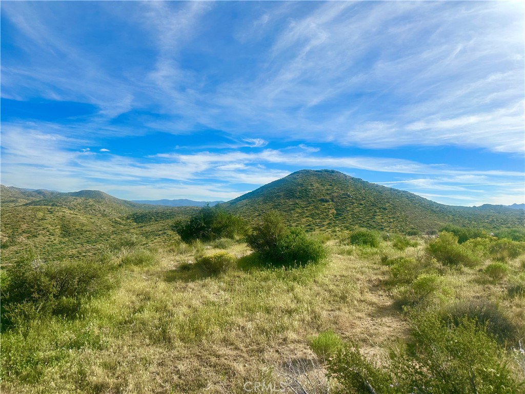 MLS #CV26063622 image #5