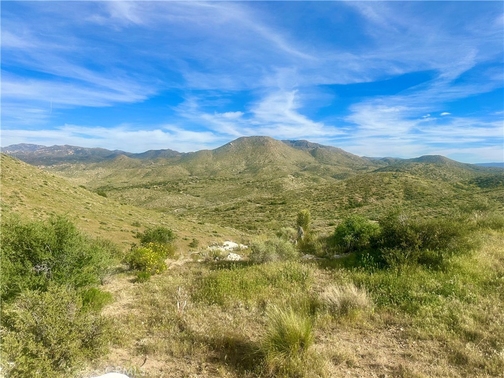 MLS #CV26063622 image #7