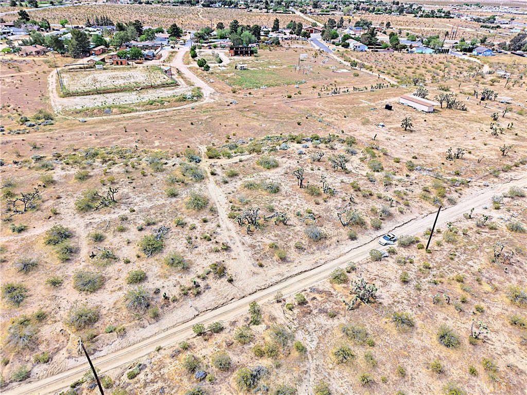 MLS #DW26070280 image #13