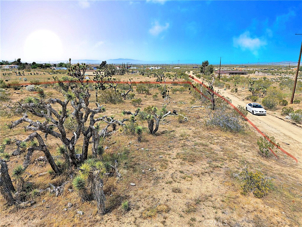 MLS #DW26070280 image #6