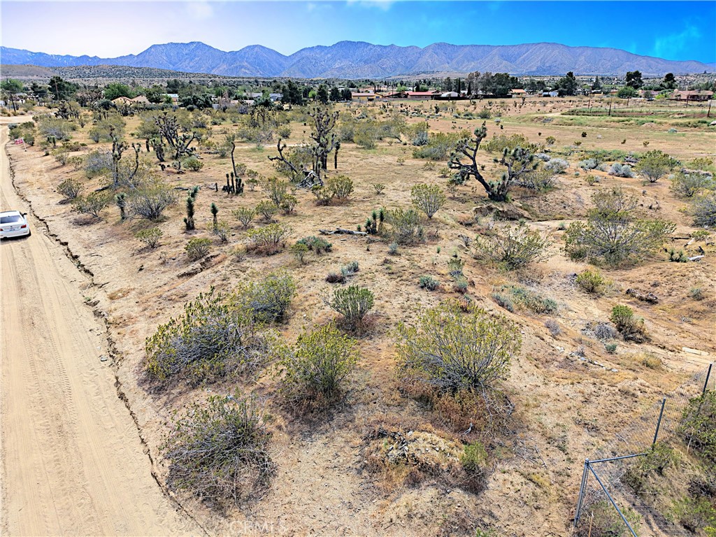 MLS #DW26070280 image #7