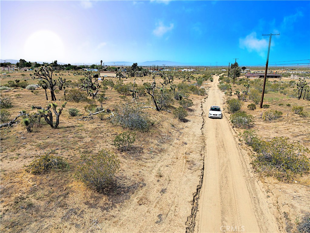 MLS #DW26070280 image #8