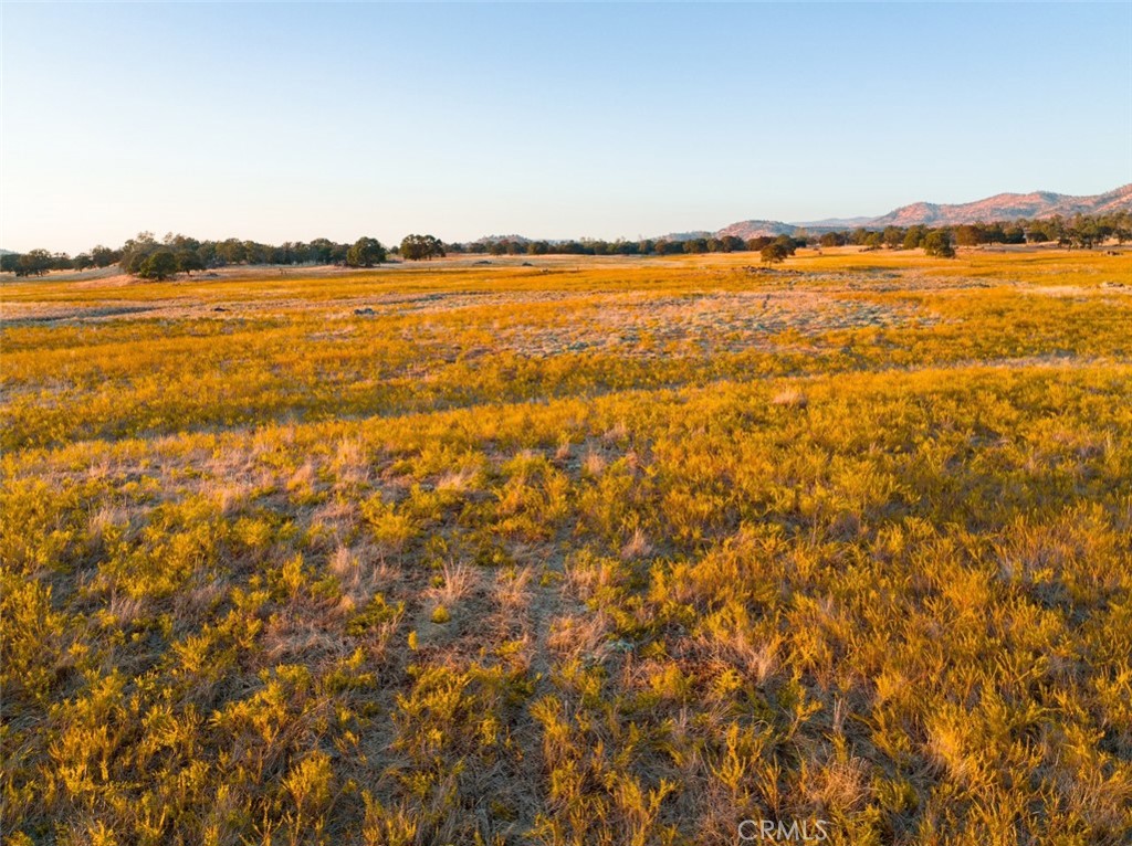 MLS #FR26054261 image #12