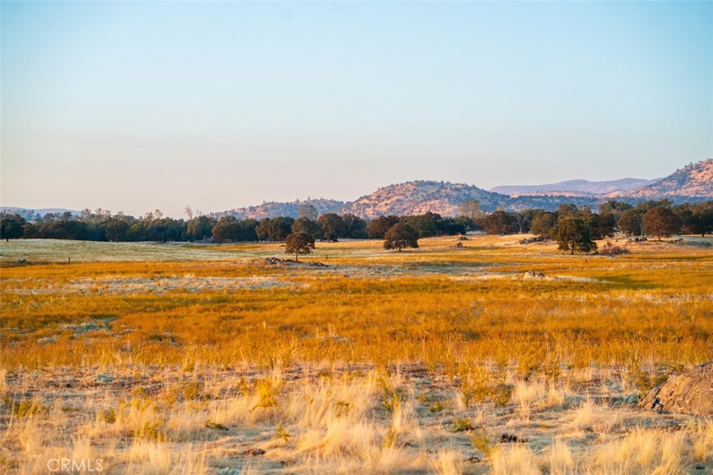 MLS #FR26054261 image #2