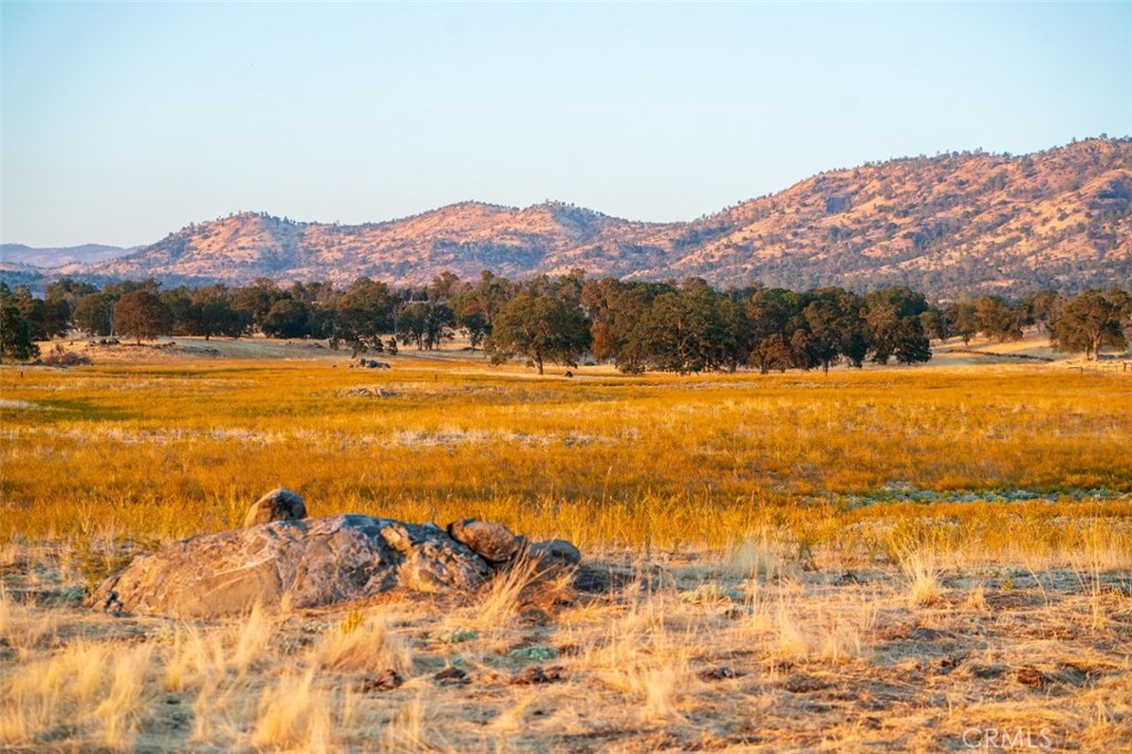 MLS #FR26054261 image #22