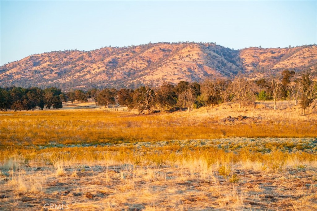 MLS #FR26054261 image #31