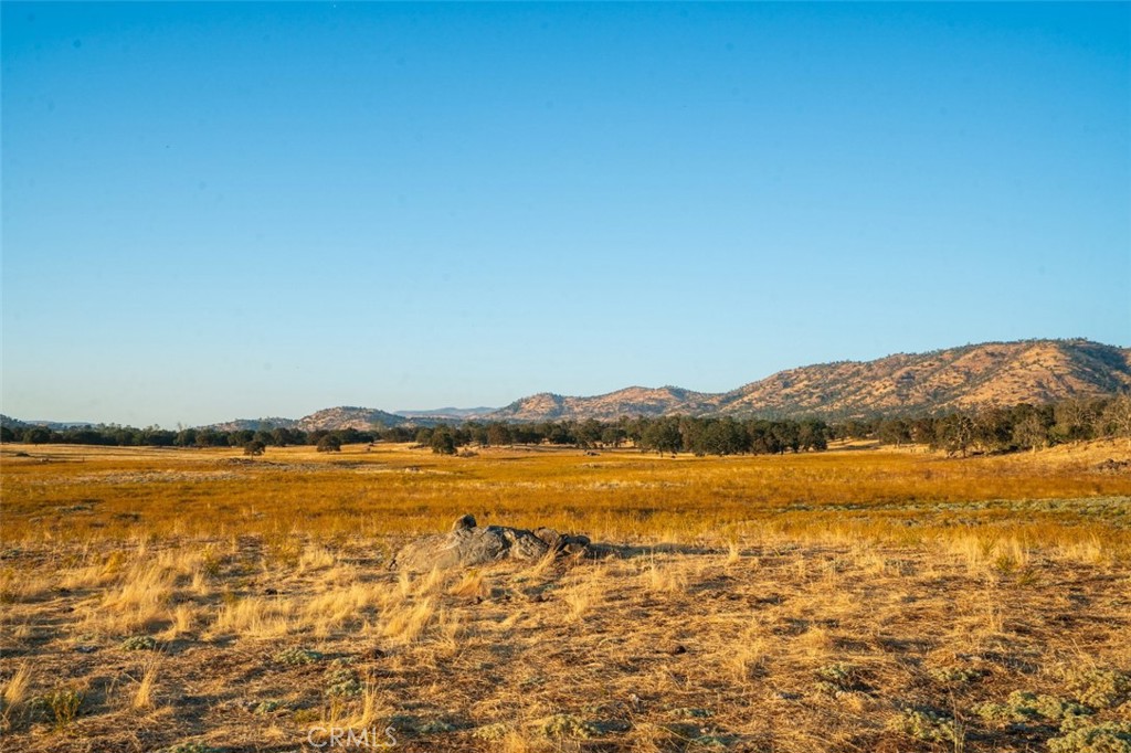 MLS #FR26054261 image #32