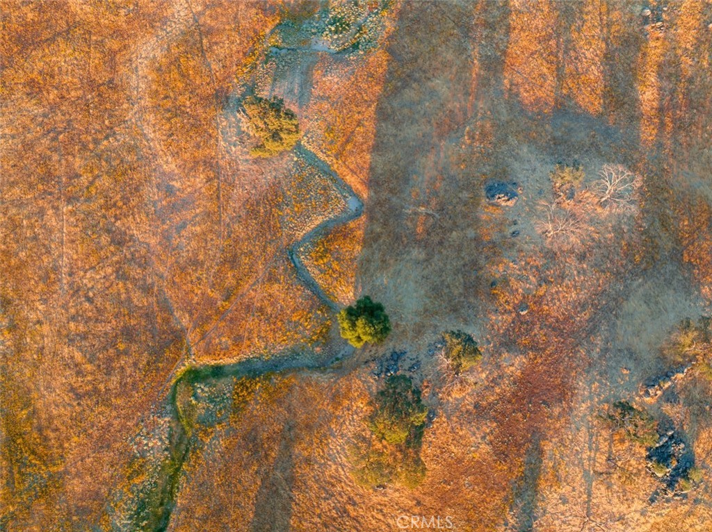 MLS #FR26054261 image #6