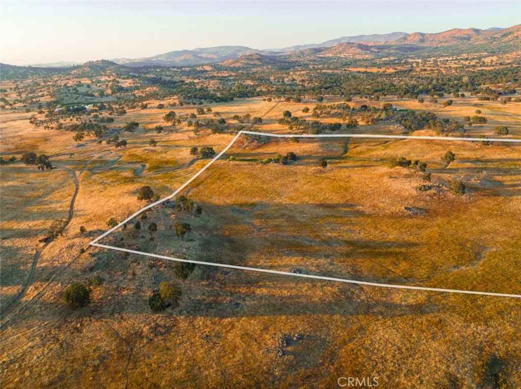 MLS #FR26054261 image #7