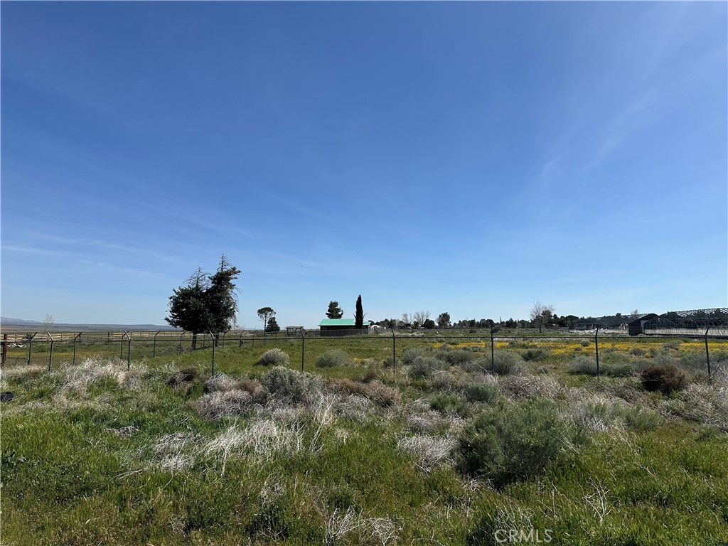 MLS #GD26052555 image #4