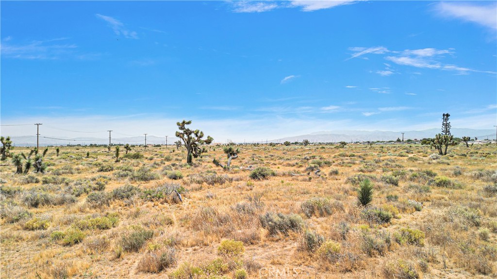 MLS #HD24111279 image #13