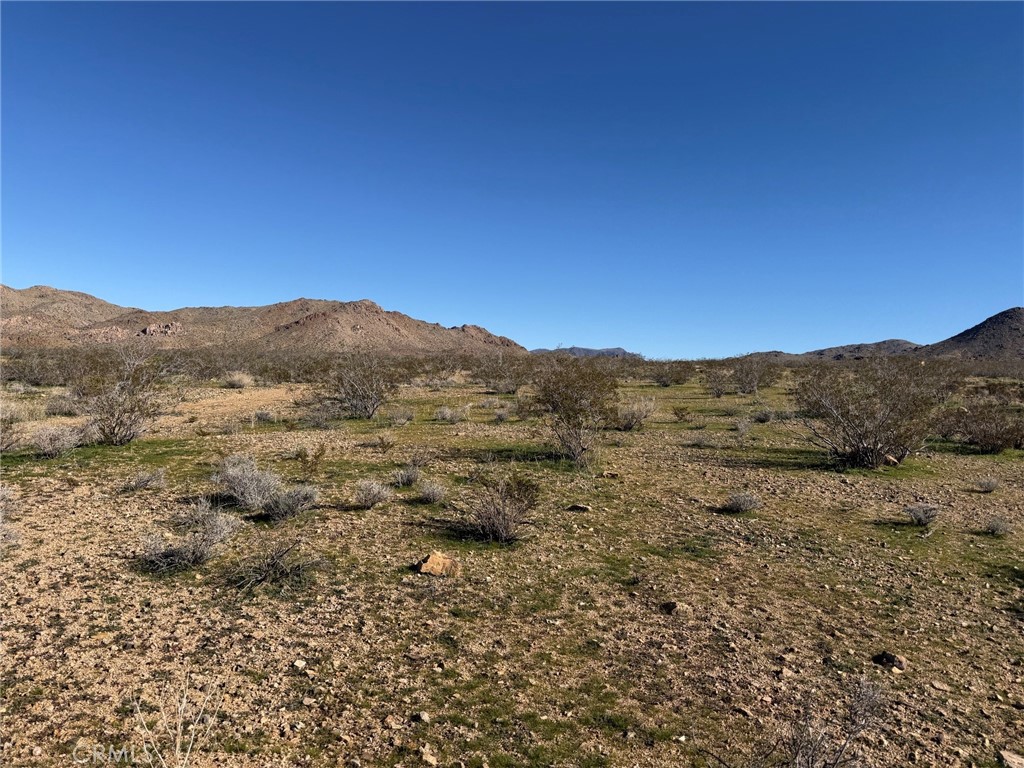 MLS #HD26005991 image #4