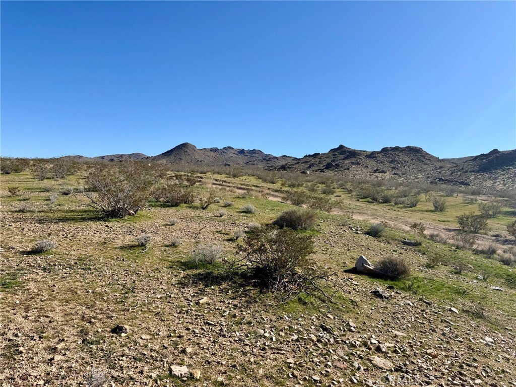 MLS #HD26005991 image #5