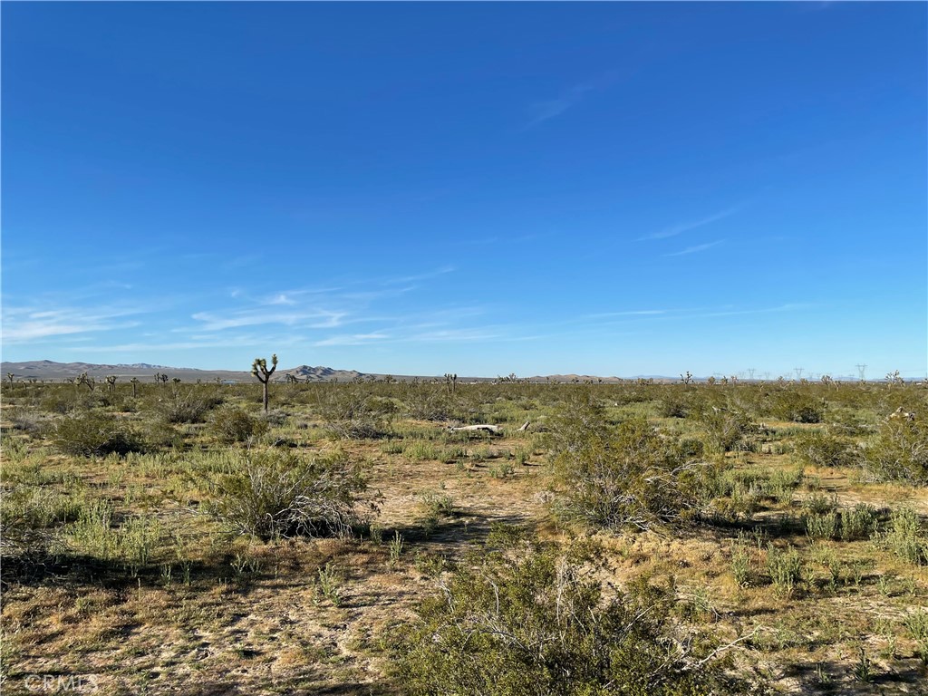 MLS #HD26061691 image #10