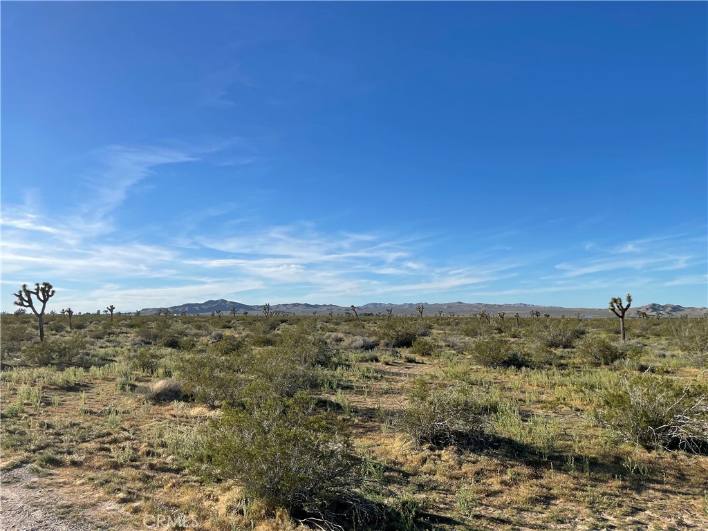 MLS #HD26061691 image #12