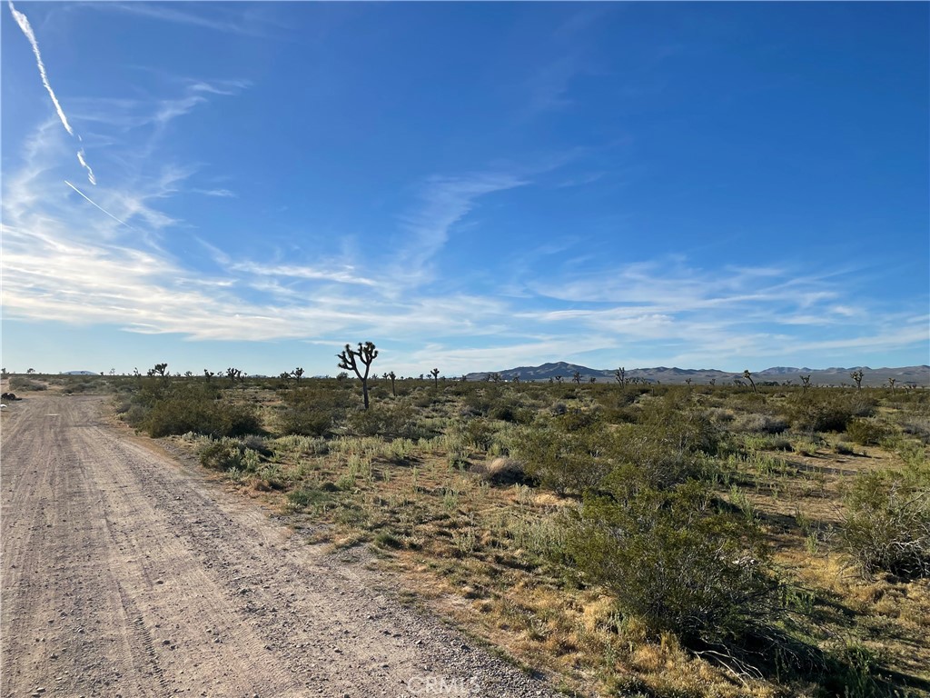 MLS #HD26061691 image #13