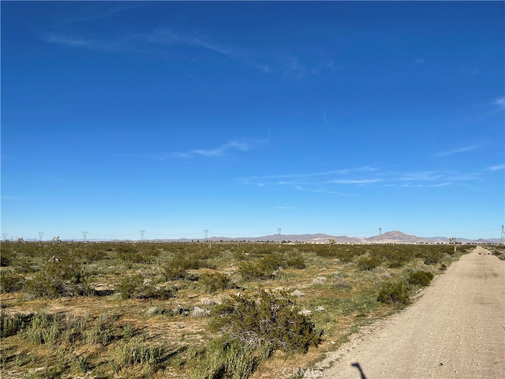 MLS #HD26061691 image #14