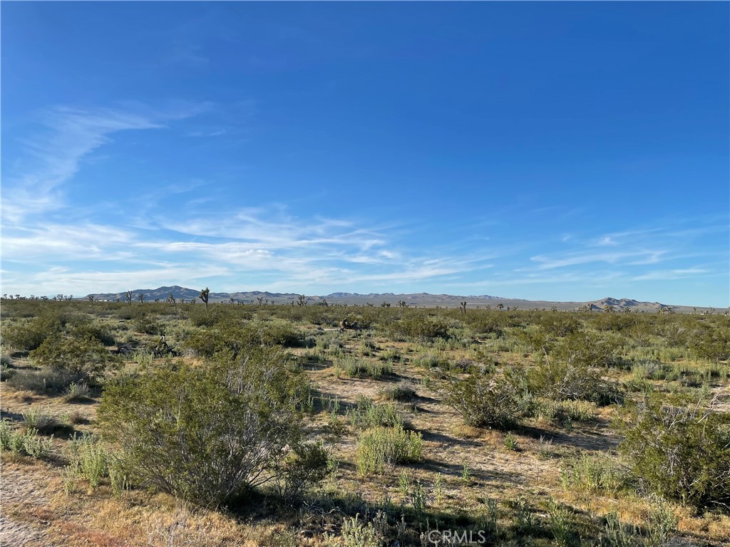 MLS #HD26061691 image #16