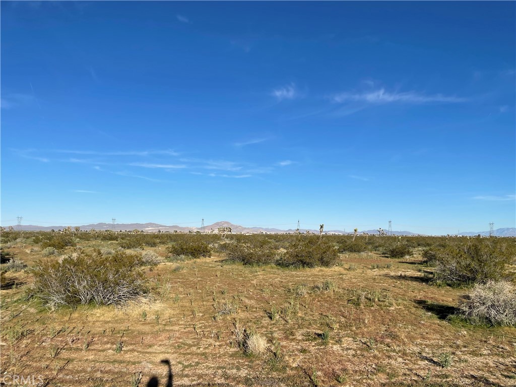 MLS #HD26061691 image #4