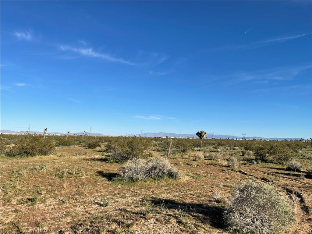 MLS #HD26061691 image #5