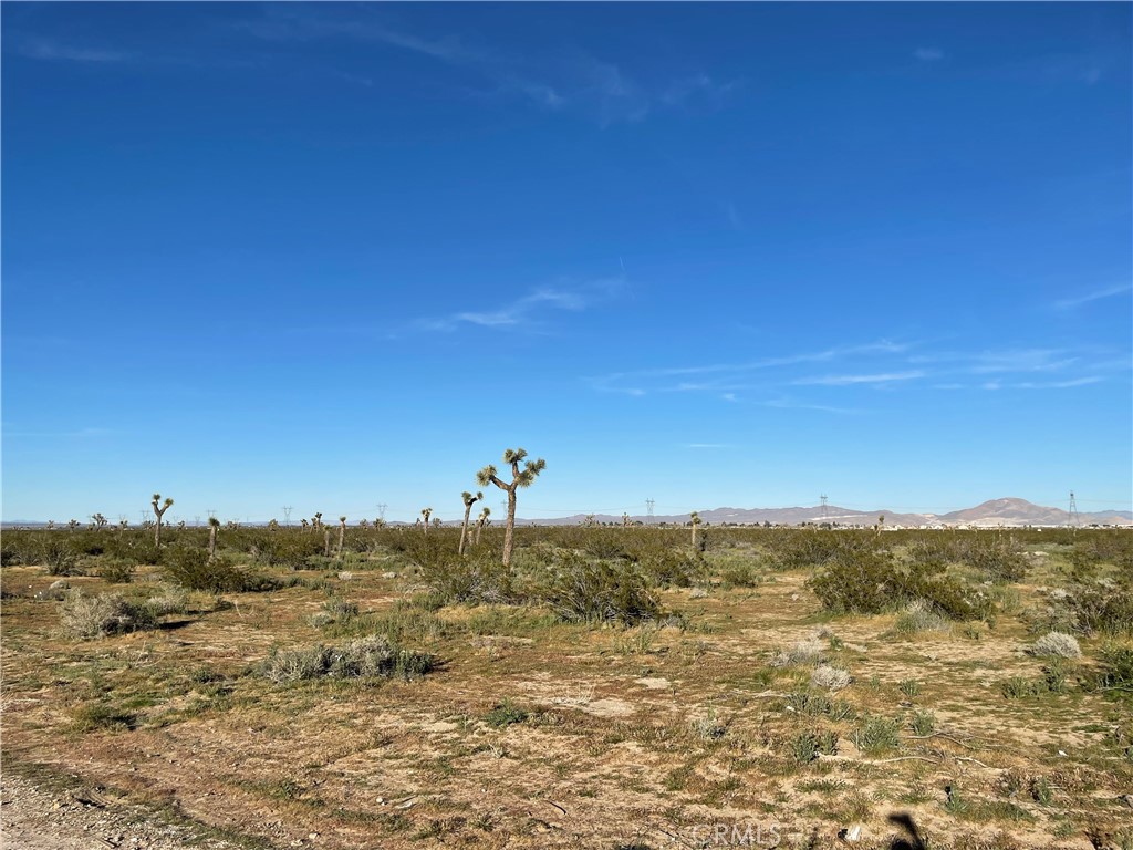 MLS #HD26061691 image #7