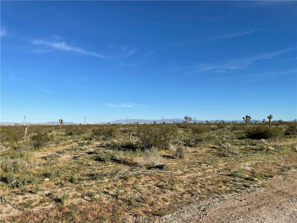 MLS #HD26061691 image #8