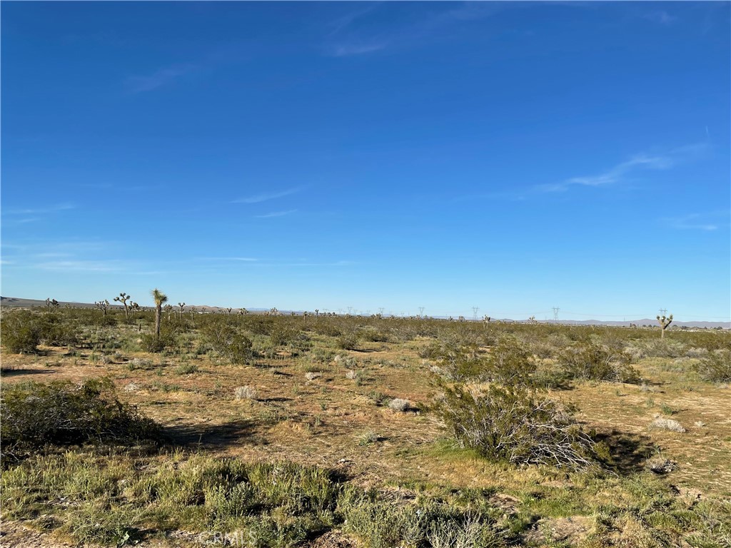 MLS #HD26061691 image #9