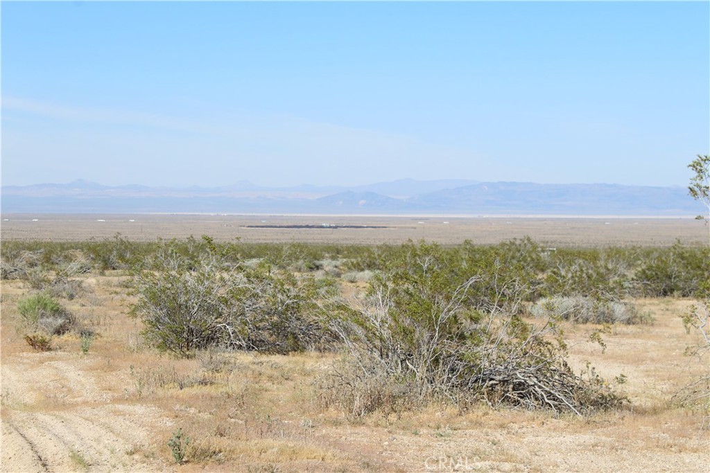 MLS #HD26062259 image #4