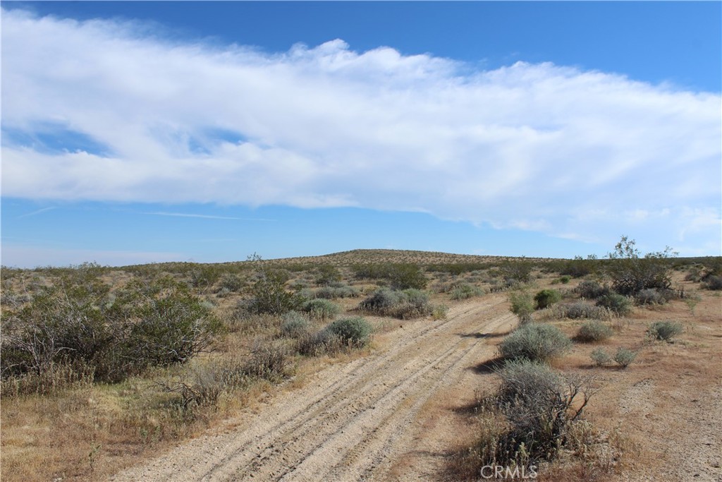 MLS #HD26062259 image #7