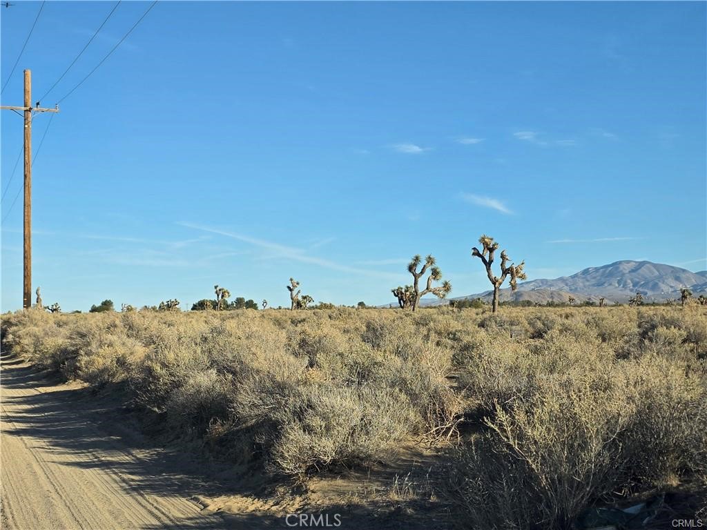 MLS #HD26062332 image #2