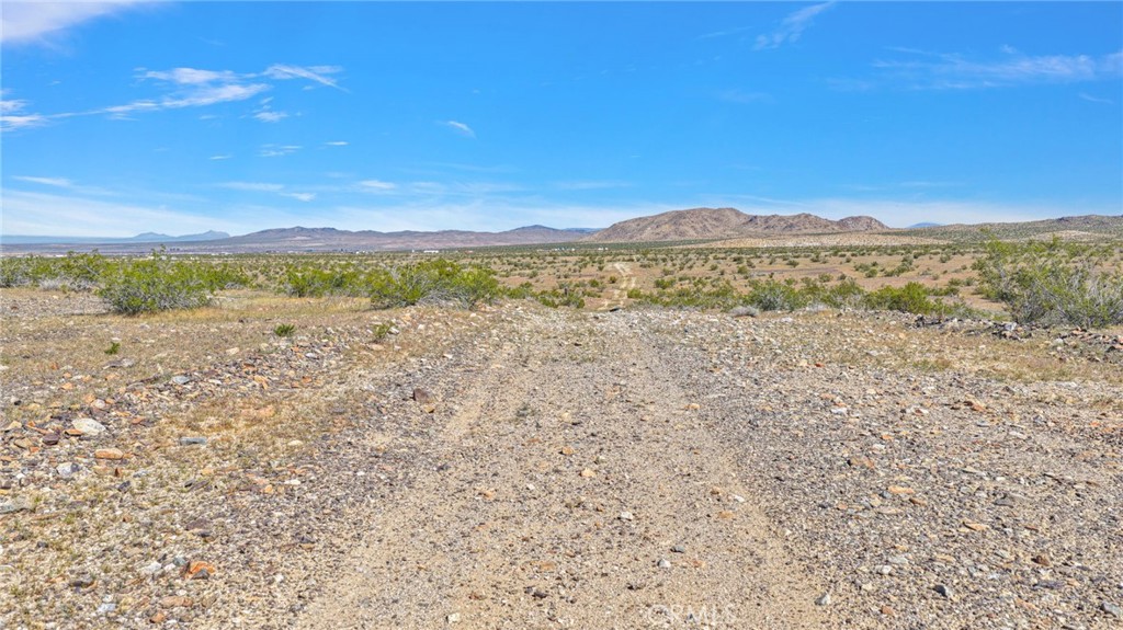 MLS #HD26062782 image #9