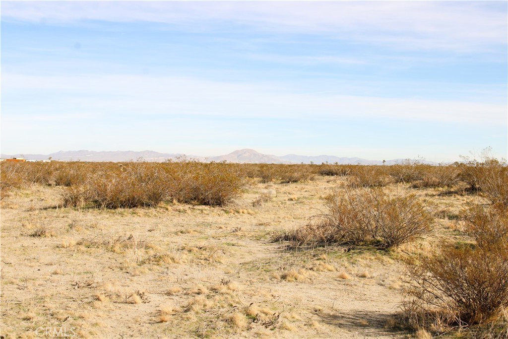 MLS #HD26064085 image #10