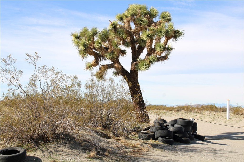 MLS #HD26064085 image #14