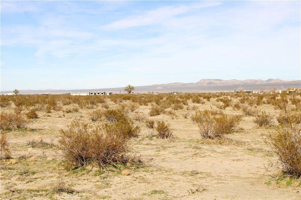 MLS #HD26064085 image #5