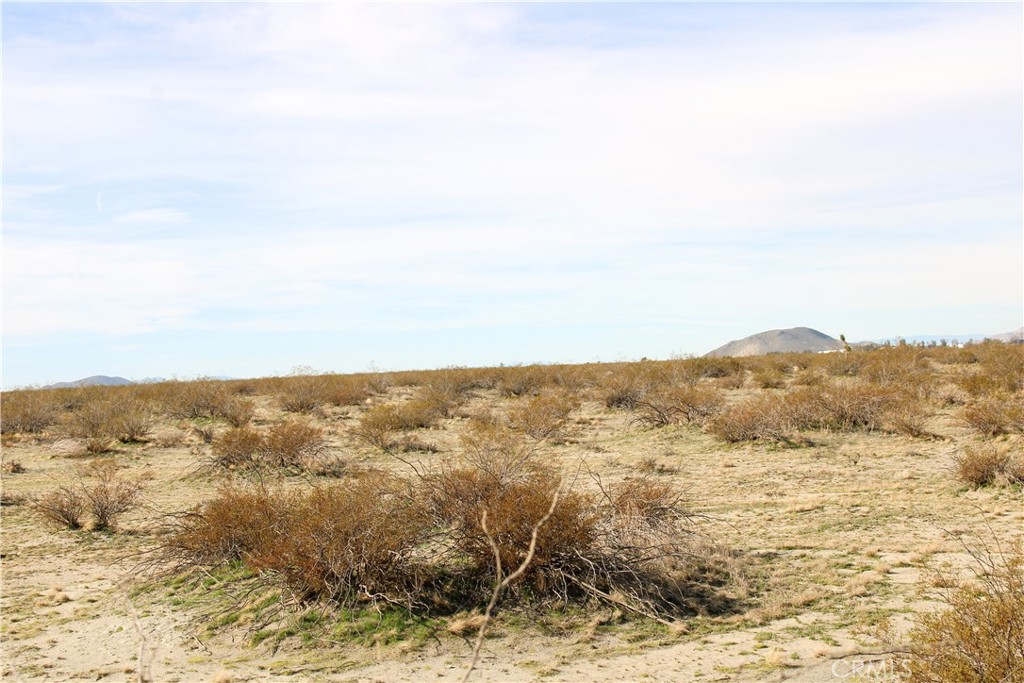 MLS #HD26064085 image #7