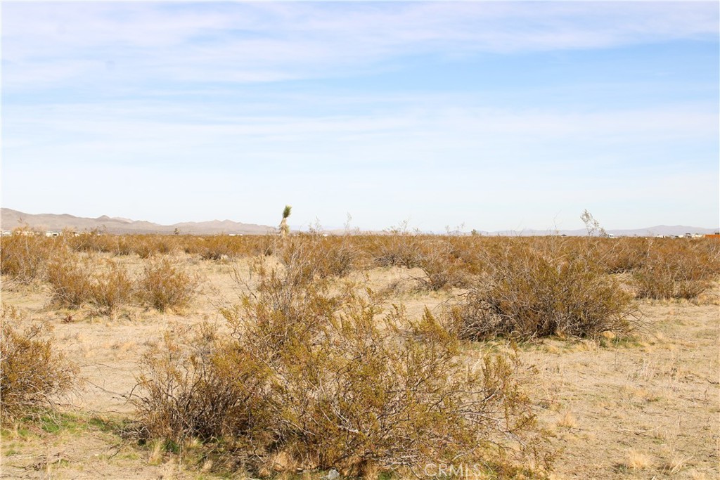 MLS #HD26064085 image #9